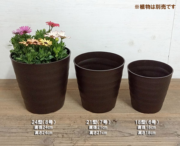 黒竹 植木鉢 10個セット 高さ1.8m 立派 豪華